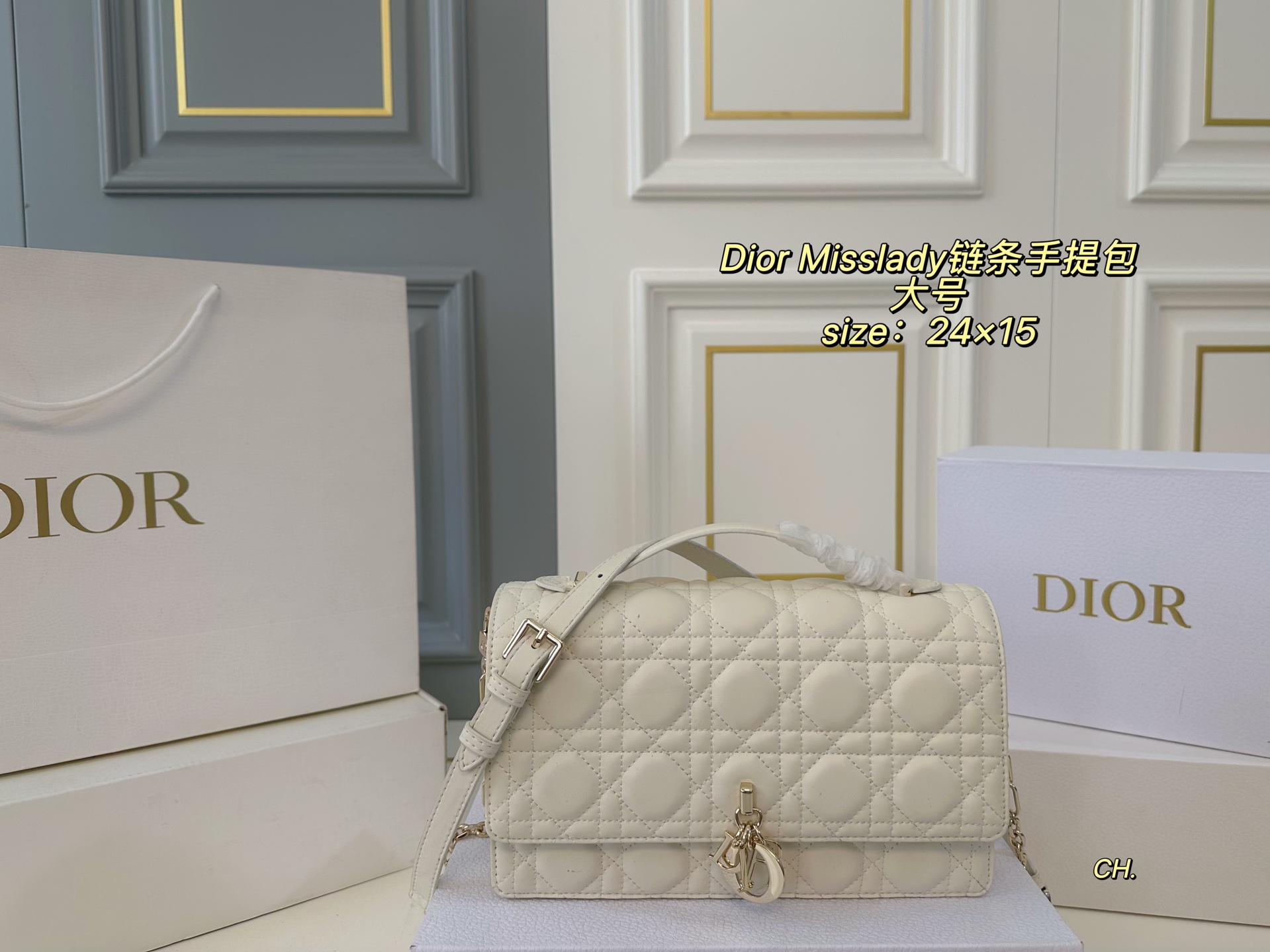 DIOR bag 80